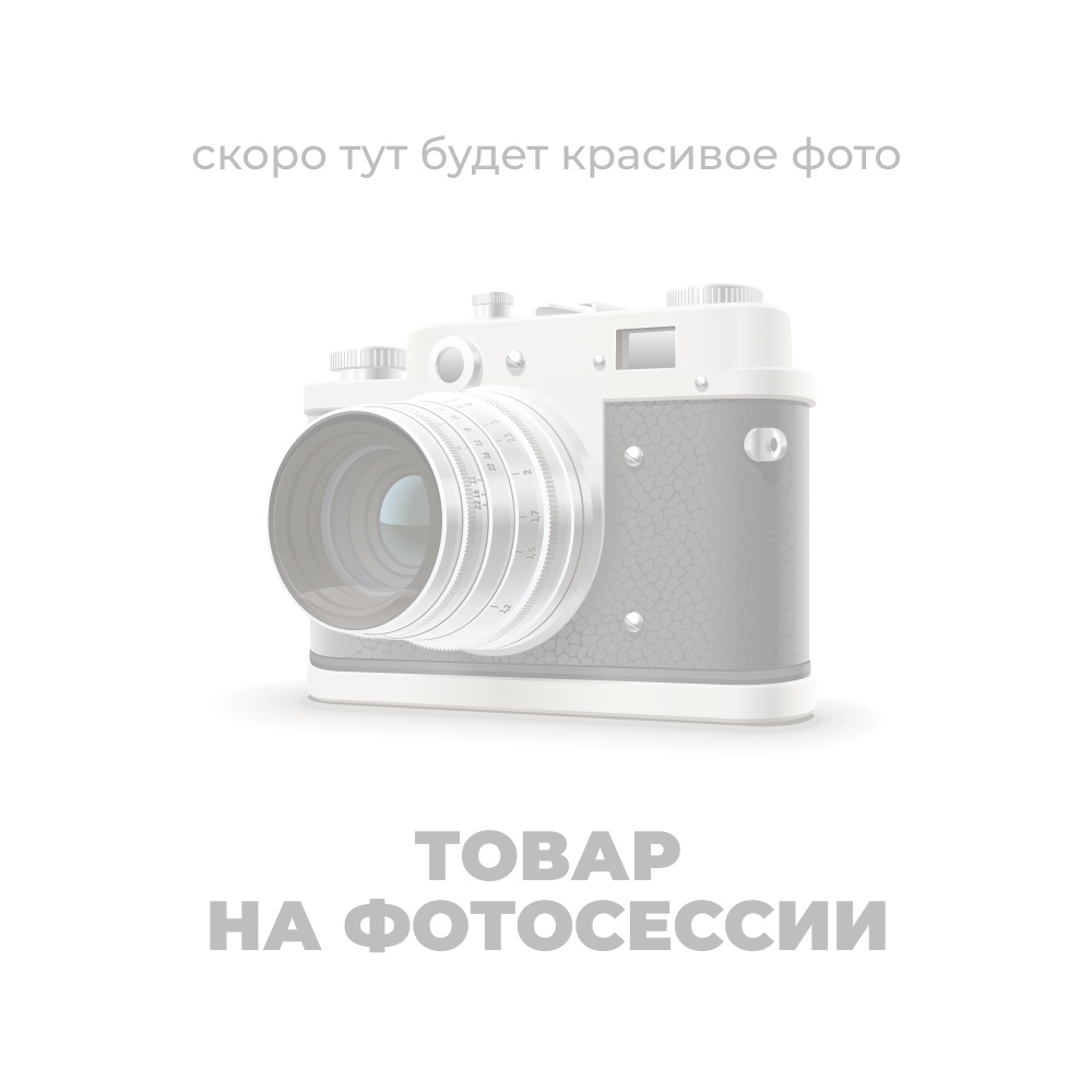 Сани для кросфита BRONZE GYM PARTNER FL-12